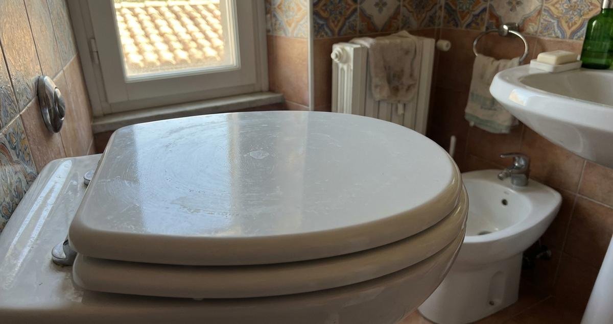 sedile-del-water-su-o-giu-cosa-dicono-gli-esperti